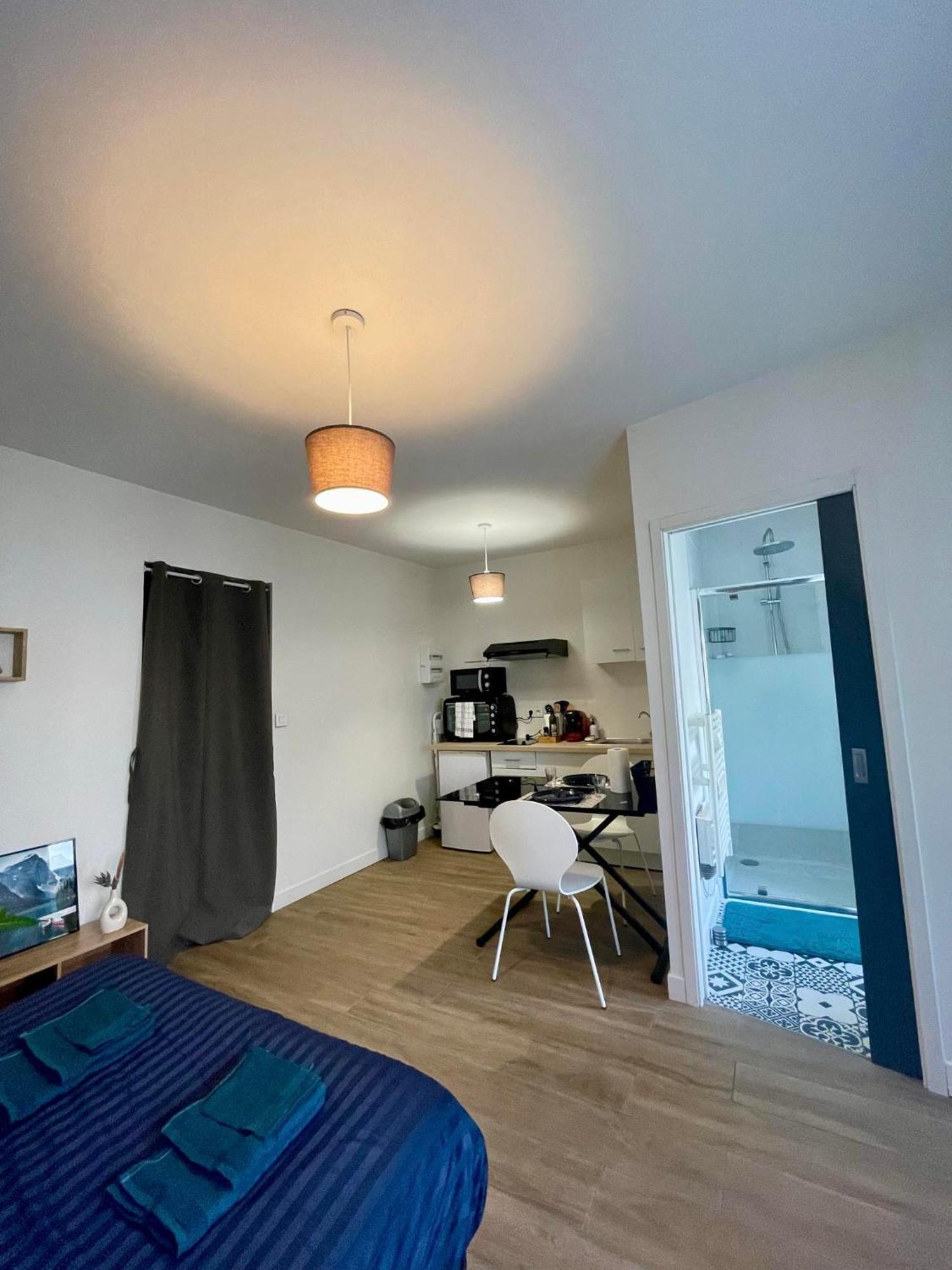 Appartement Cosy Proche Gare Angers Bagian luar foto